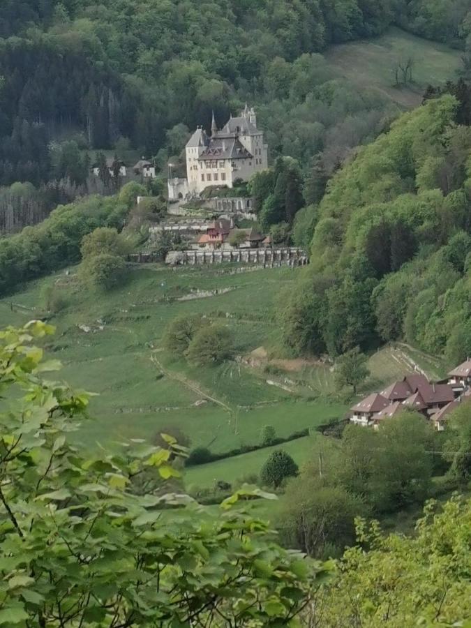 Maisonnette Talloires Esterno foto